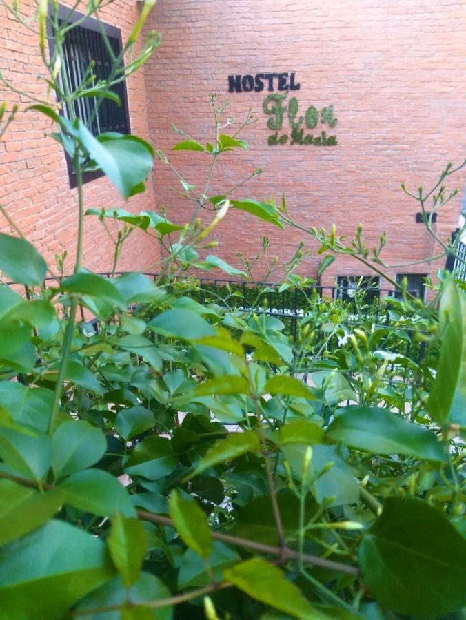 Hostel Flor De Maria - Sao Paulo — Fotos 3